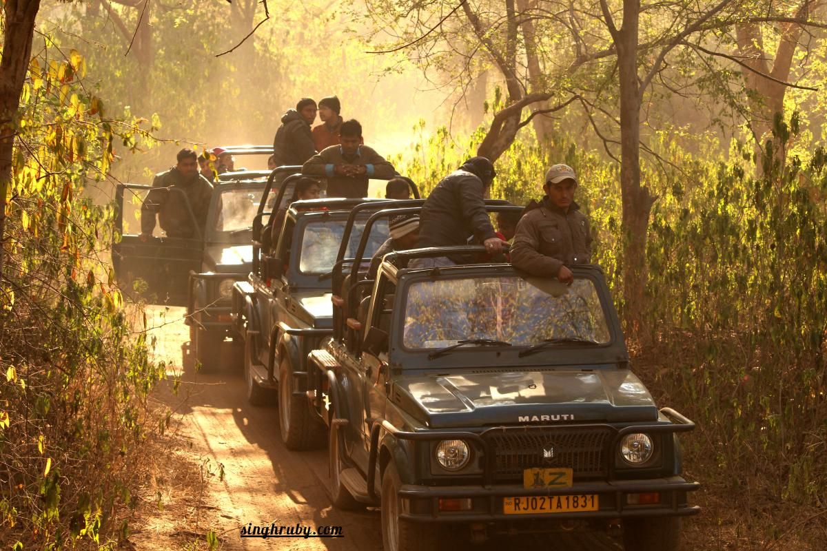 Thrilling Jeep Safari - Firefly Resort amenity